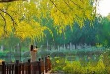 法国2足球比分-法国2足球比分，激情与荣耀的数字交响曲
