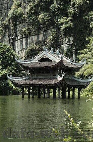 足球比分_即时比分-足球比分即时追踪，绿茵场的数字心跳与战术密码