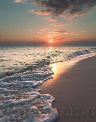 足球篮球比分直播app-足球篮球比分直播APP，体育迷的掌上观赛利器